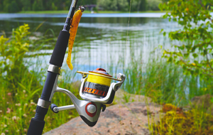 Assemblée Générale le 13 Février 2026